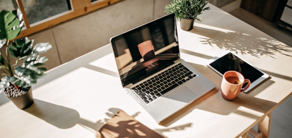 Planten in je werkplaats of bedrijf: de groene boost die je nodig hebt