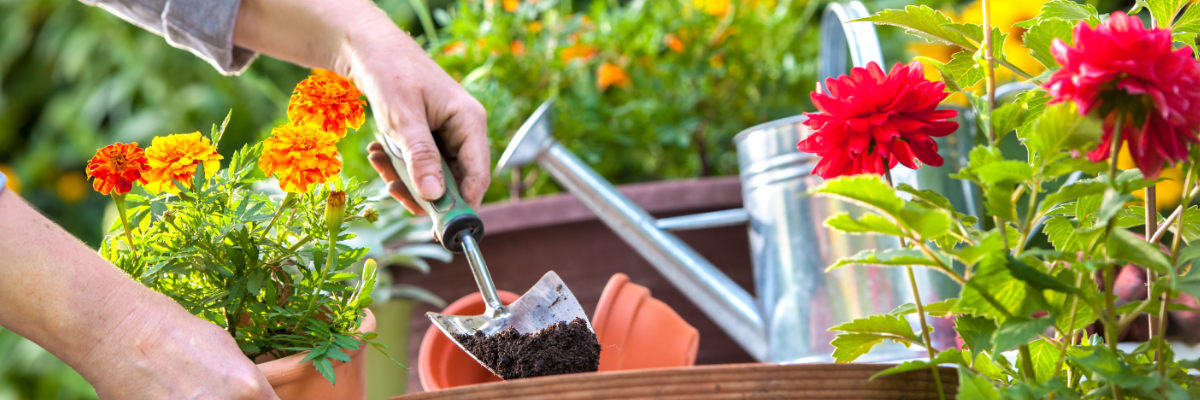 Tuinkalender April: Voorjaar in volle gang!