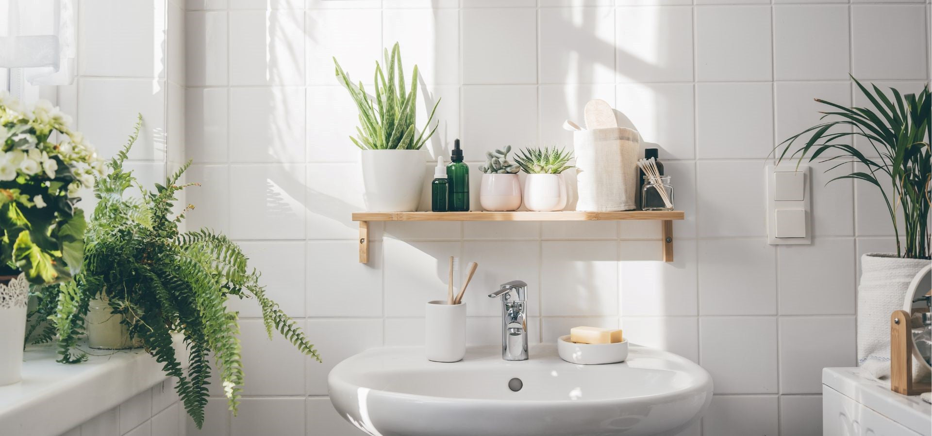 Creëer je Eigen Spa: Planten die Perfect zijn voor de Badkamer