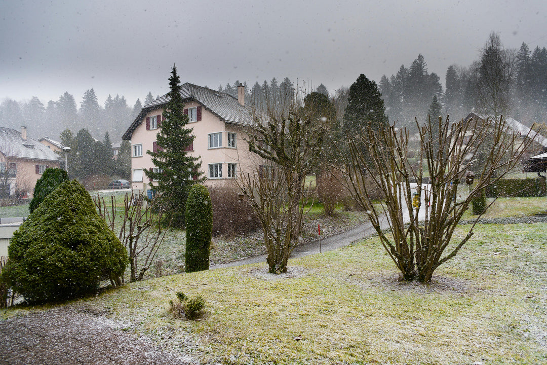 Tuinkalender December – Winterrust én slimme voorbereidingen