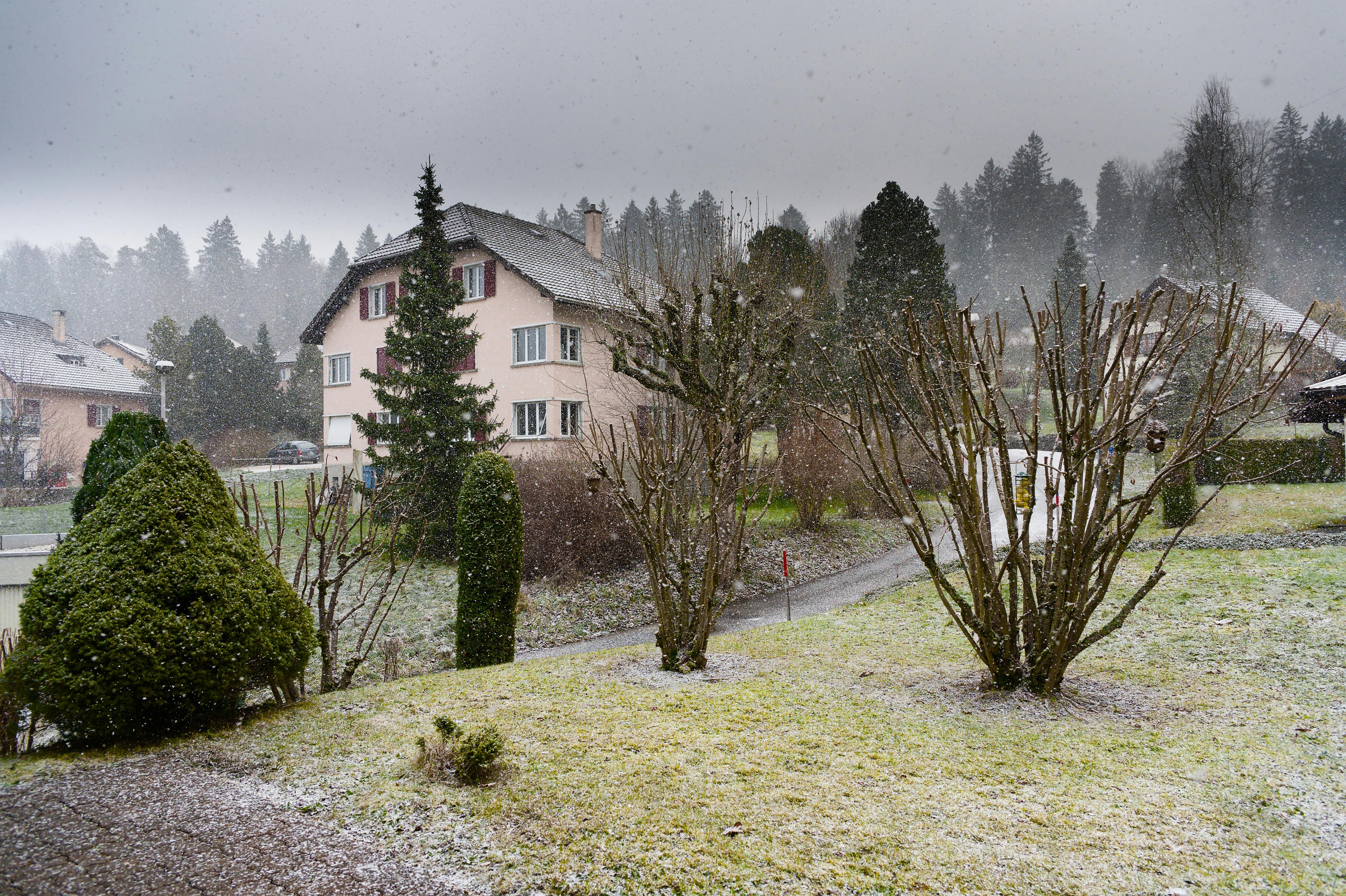 Tuinkalender December – Winterrust én slimme voorbereidingen