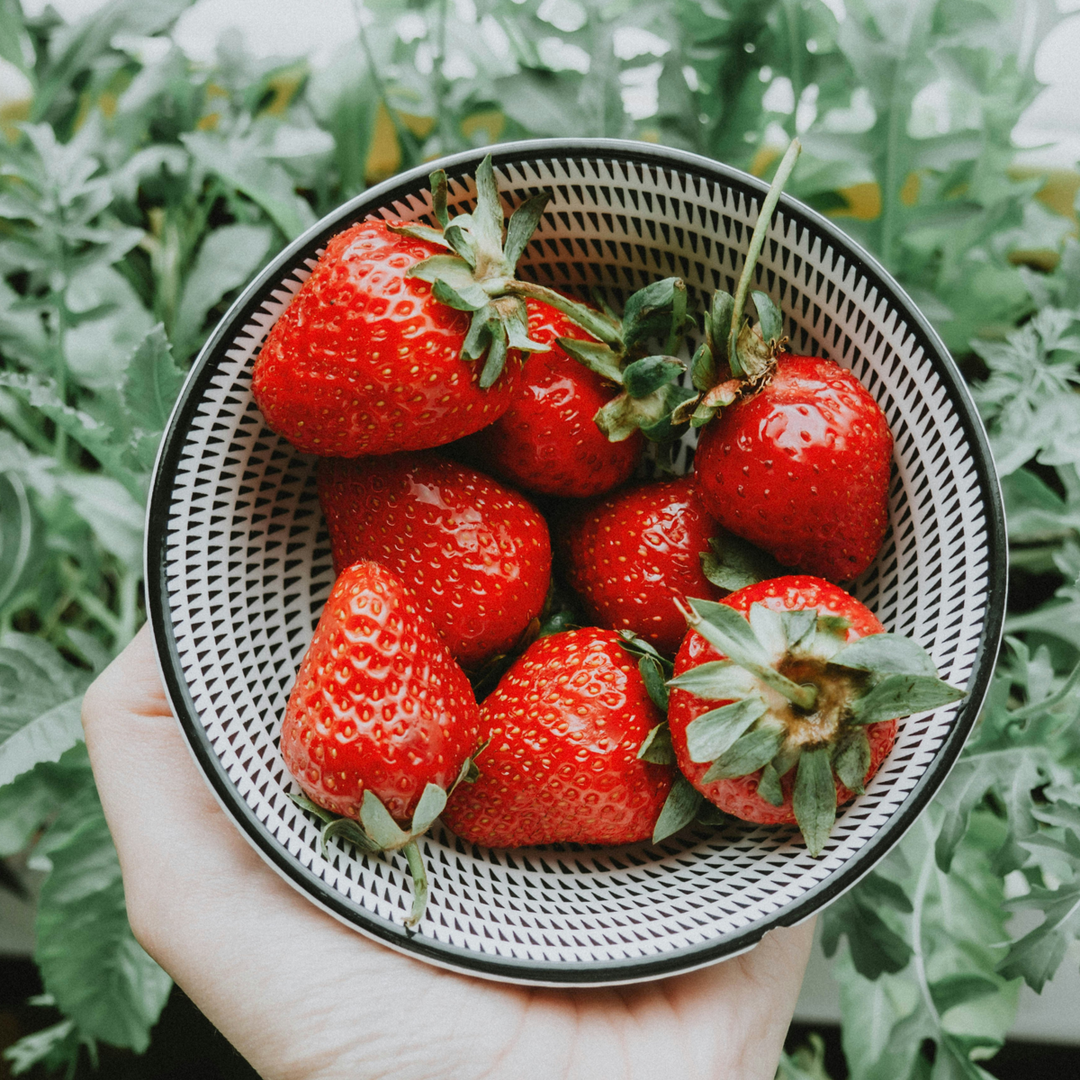 Fragaria Elsanta - Set van 10 - Aardbei - Wortelstokken