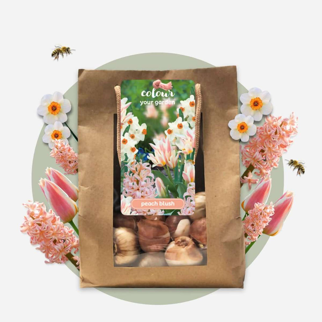 Bloembollen 'Peach Blush' - Set van 25 - Narcis Tulp Hyacint