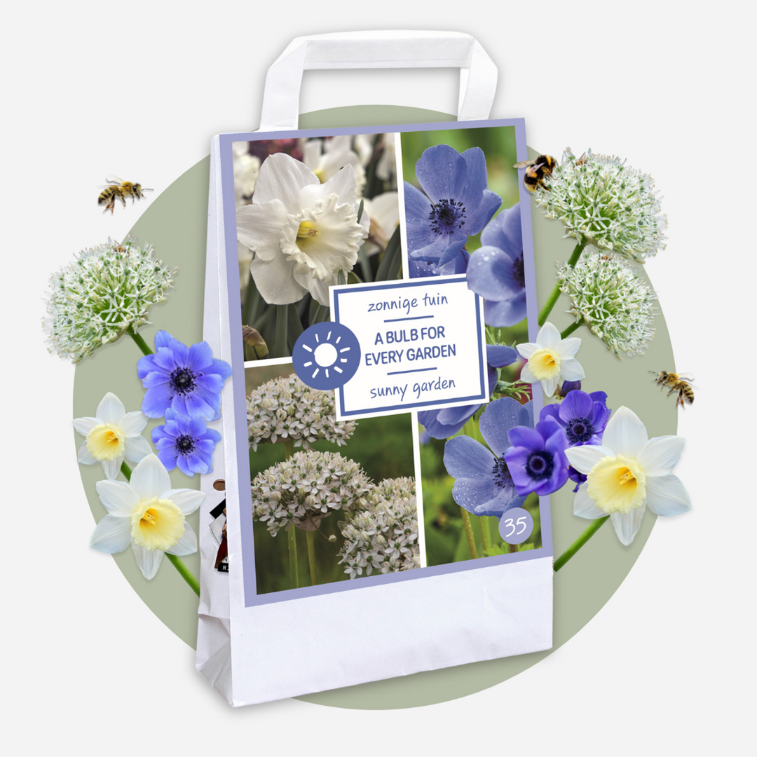 Bijvriendelijke bloembollen 'Sunny Garden Box'