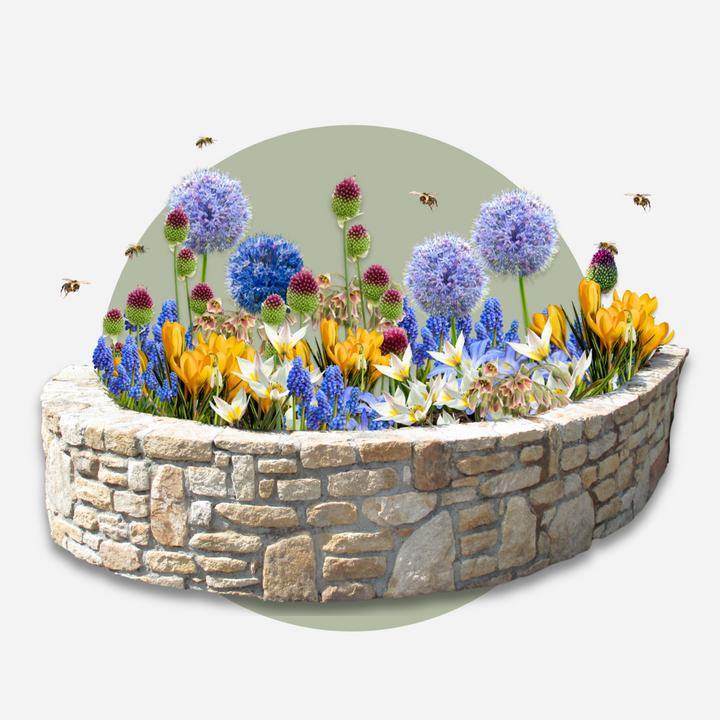 Bloembollen voor bijen - 60 stuks