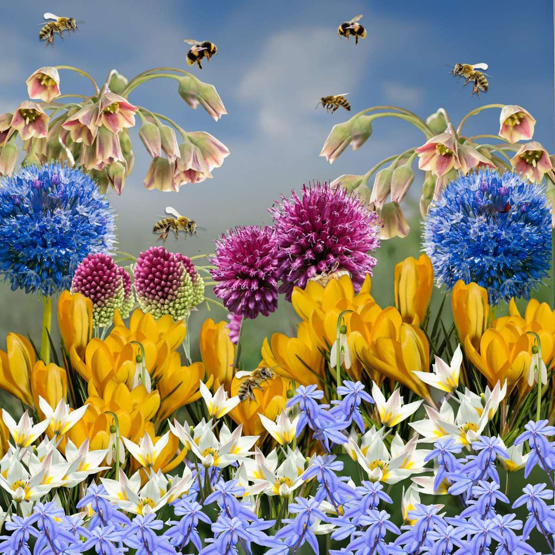 Bloembollen voor bijen - 60 stuks