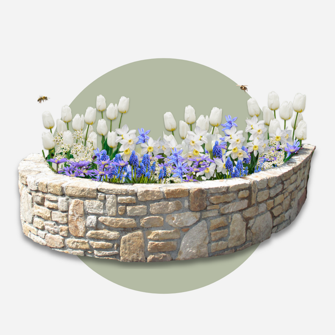 Bulb Garden Blue - Set van 250 - Bloembollenmix