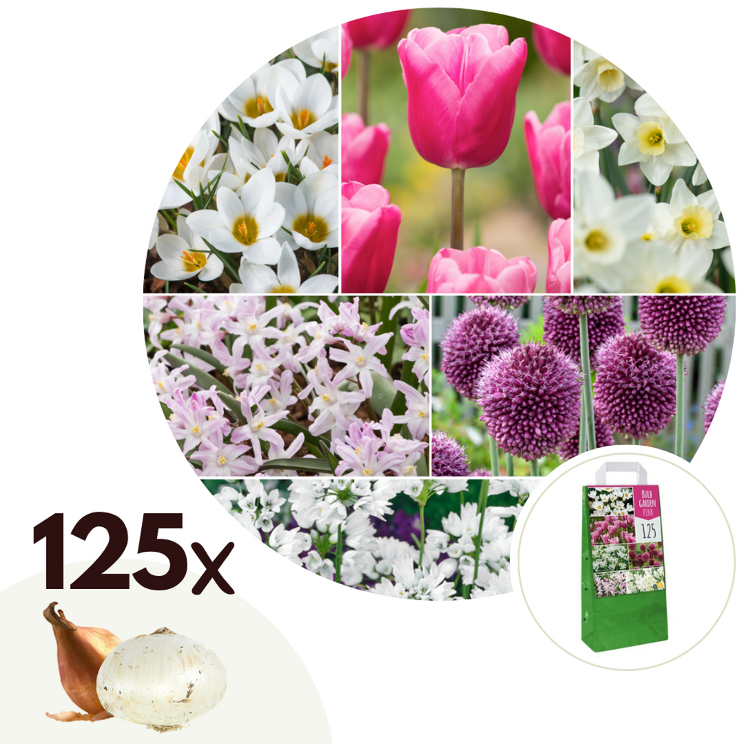 Bulb Garden Pink - 125 stuks - Narcis, Allium, Krokus, Tulp