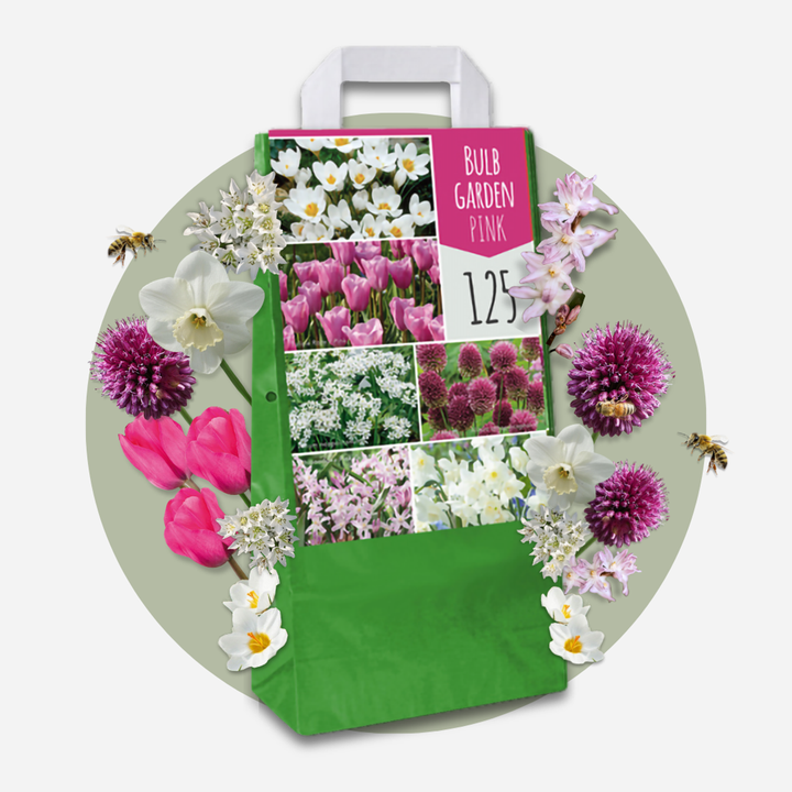Bulb Garden Pink - 250 komada - Narcis, Allium, Crocus, Tulip