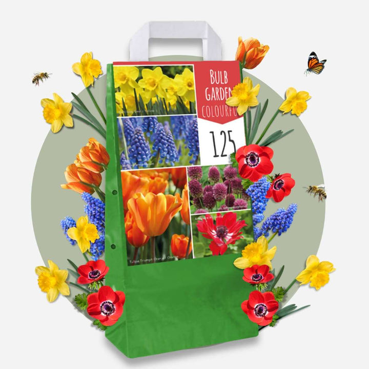 Bulb Garden Šareni - Set od 250 - Cvjetne lukovice
