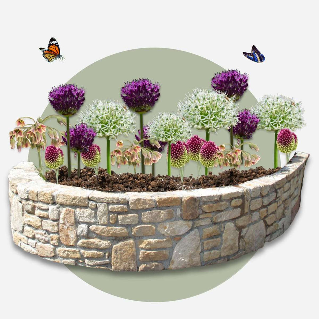 Blije Vlinder - Set van 40 - Aantrekkelijk voor Vlinders