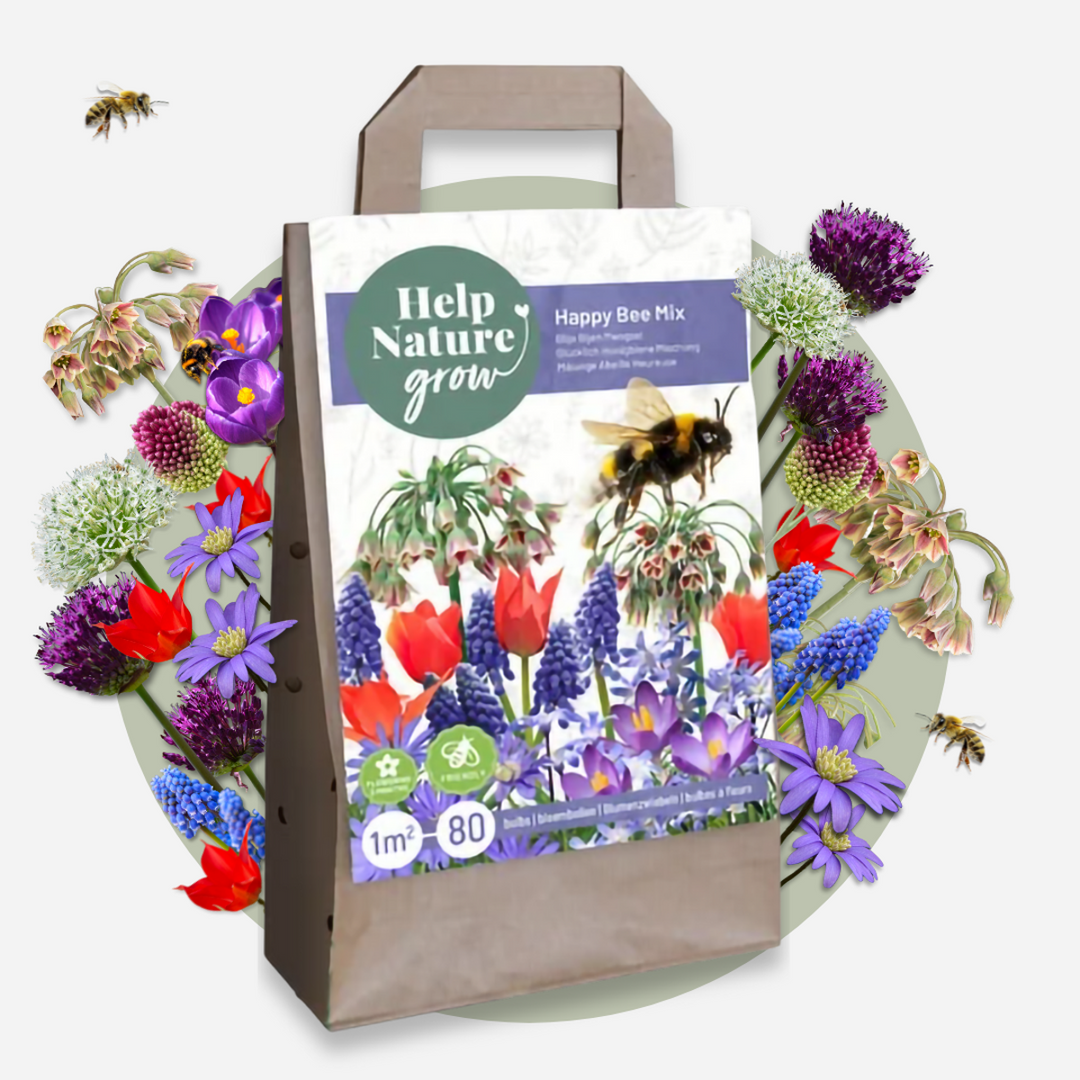 Sretna pčela - Set od 80 - Lukovice cvijeća prilagođene pčelama