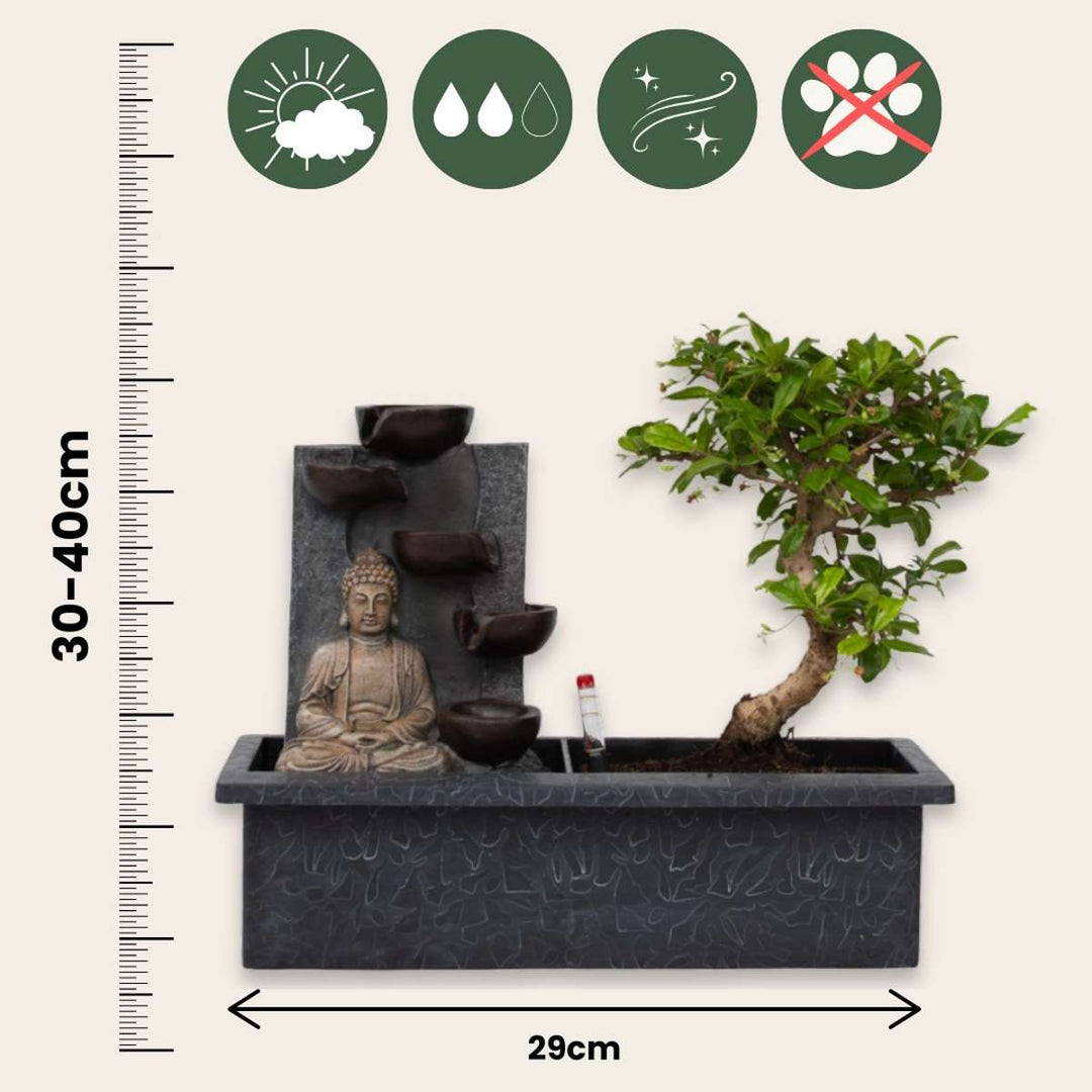 Bonsai stablo s vodenim sustavom - Buddha