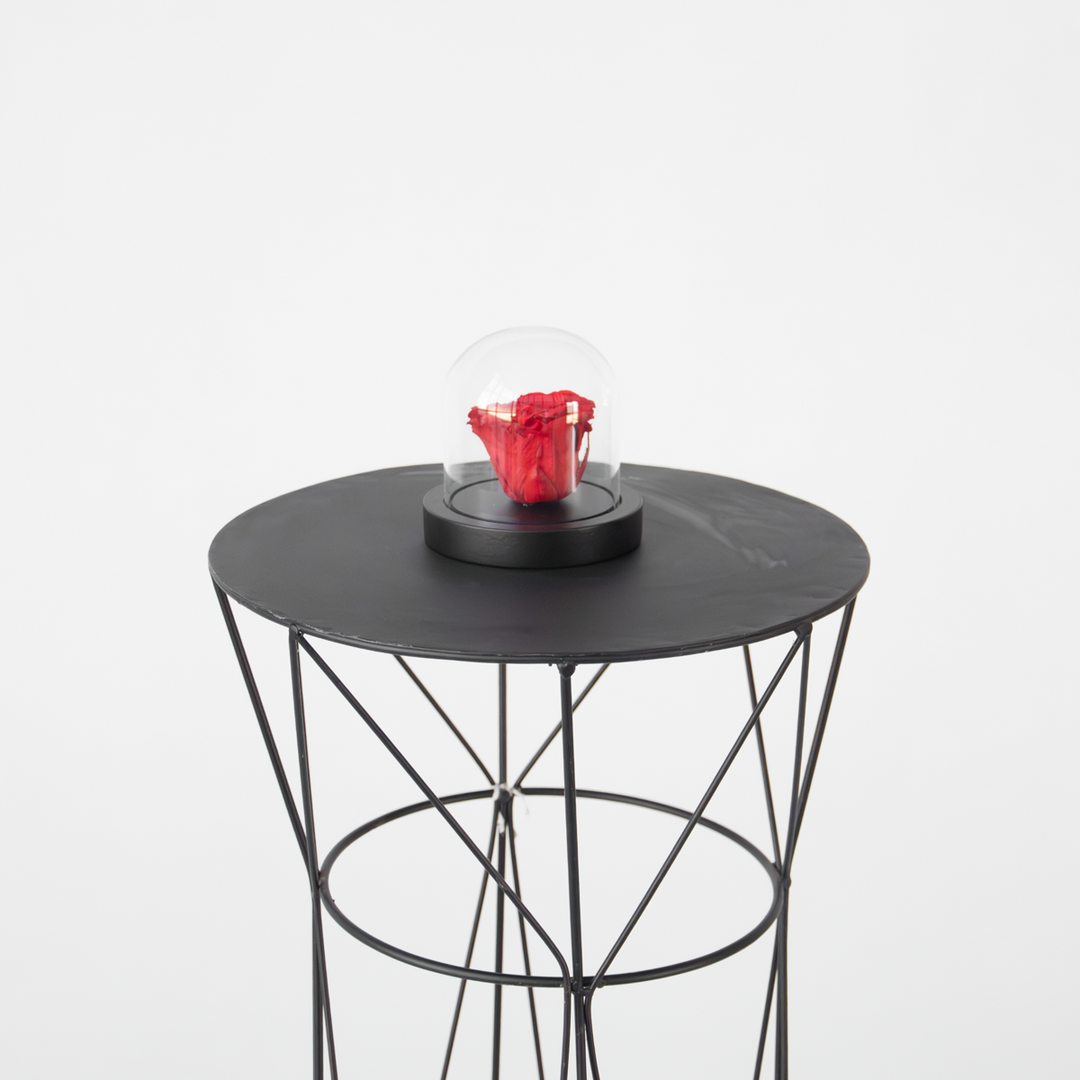 Rozenbloem in glazen stolp