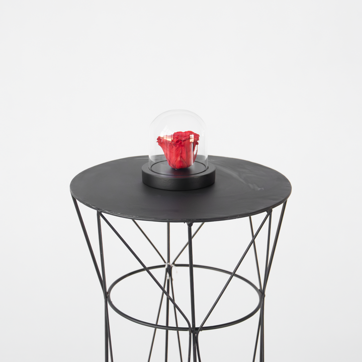 Rozenbloem in glazen stolp