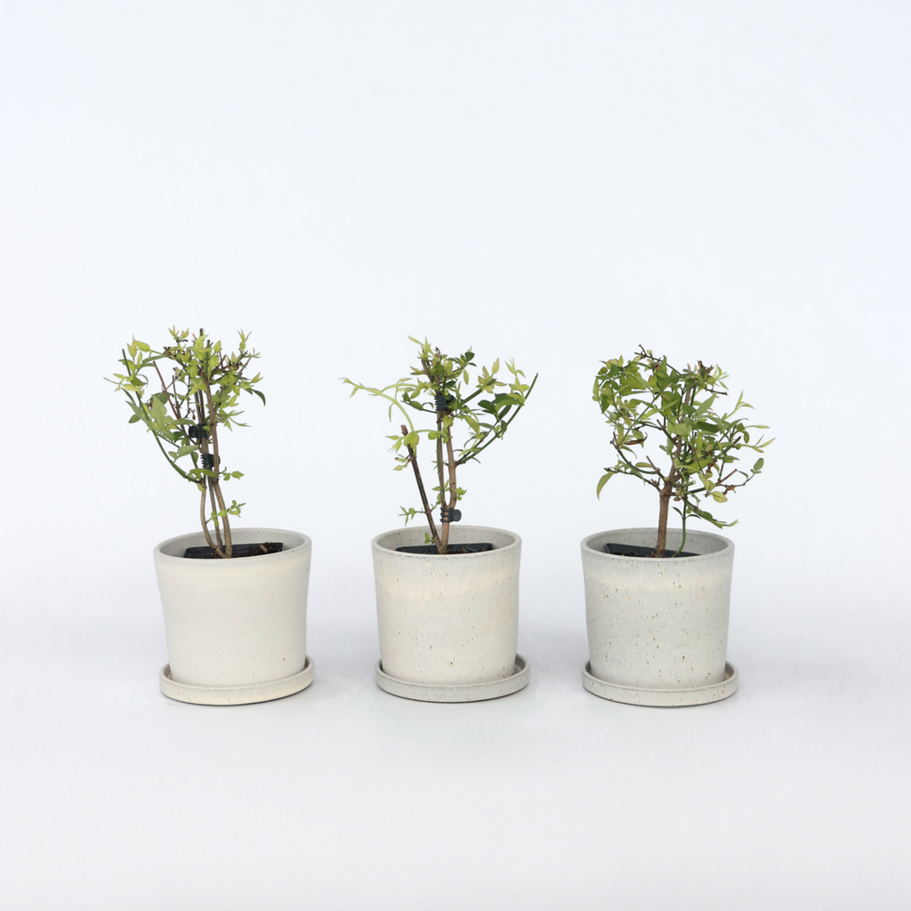 2546103_Productimage_02_SQ_102