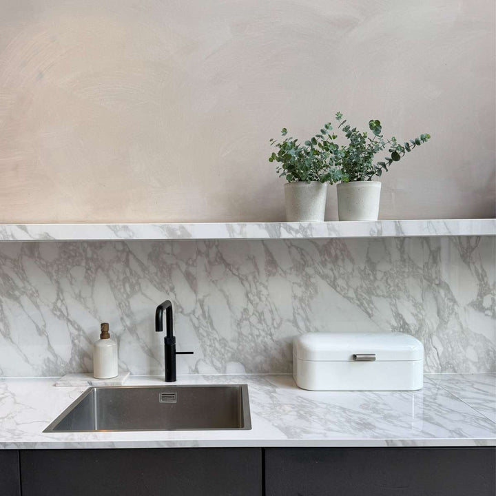 Eucalyptus Pulverulenta 'Babyblauw' - Set van 2