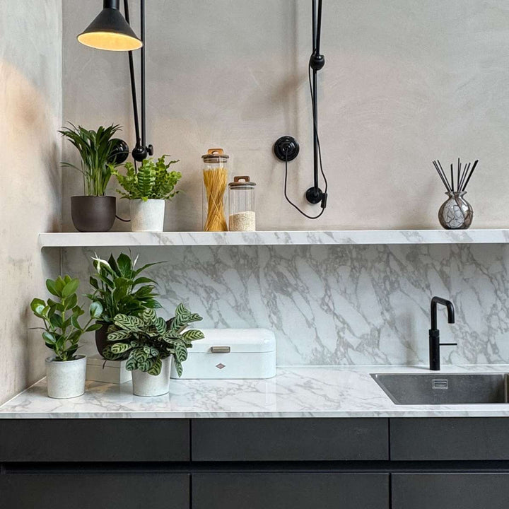 Luchtzuiverende kamerplanten - Mix van 5 stuks