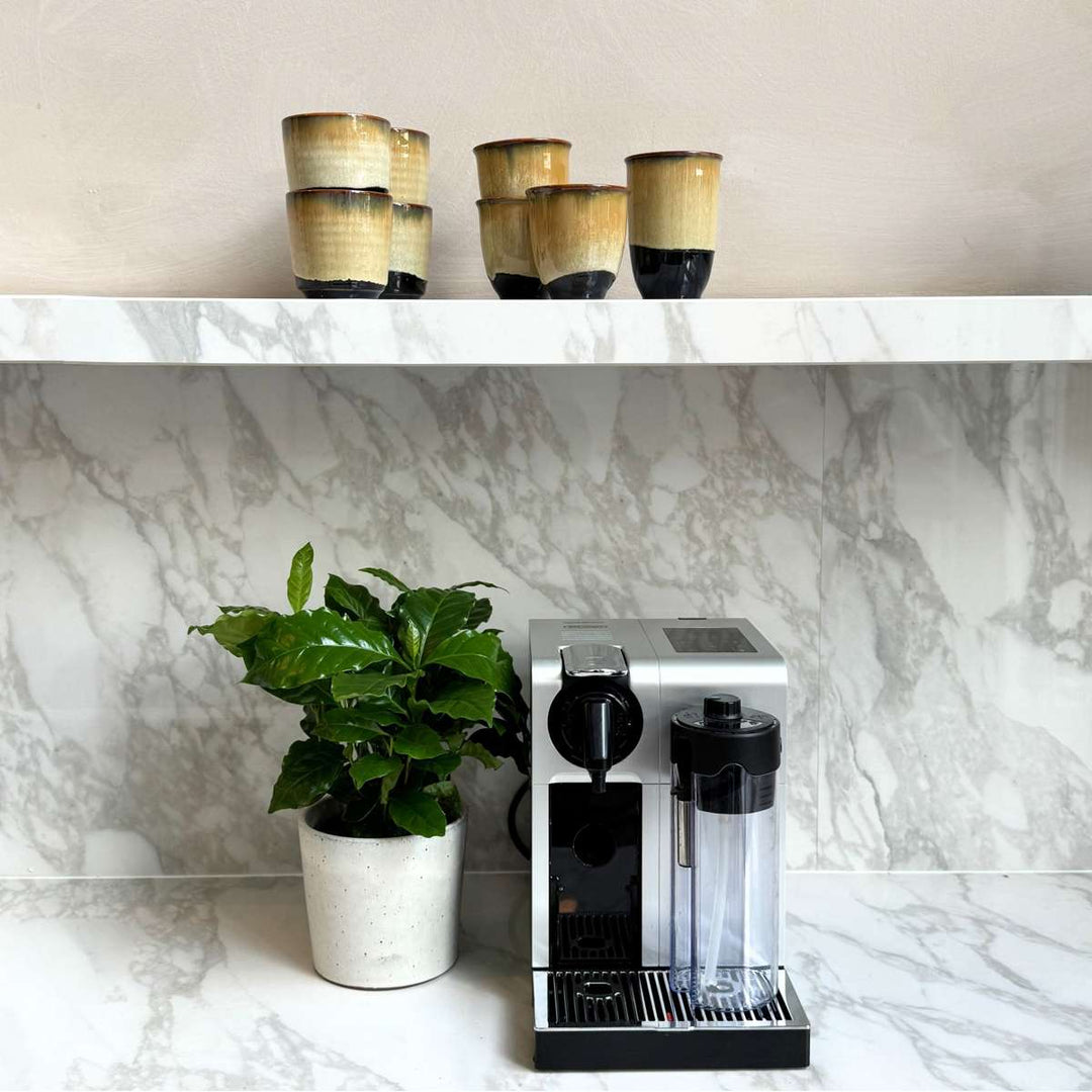 Coffea arabica - Koffieplant - Set van 4