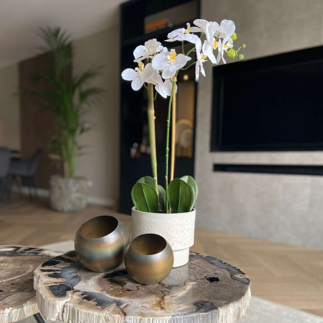 Kunstplant phalaenopsis orchidee