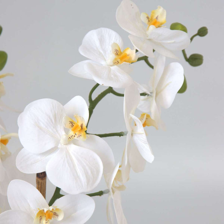 Kunstplant phalaenopsis orchidee