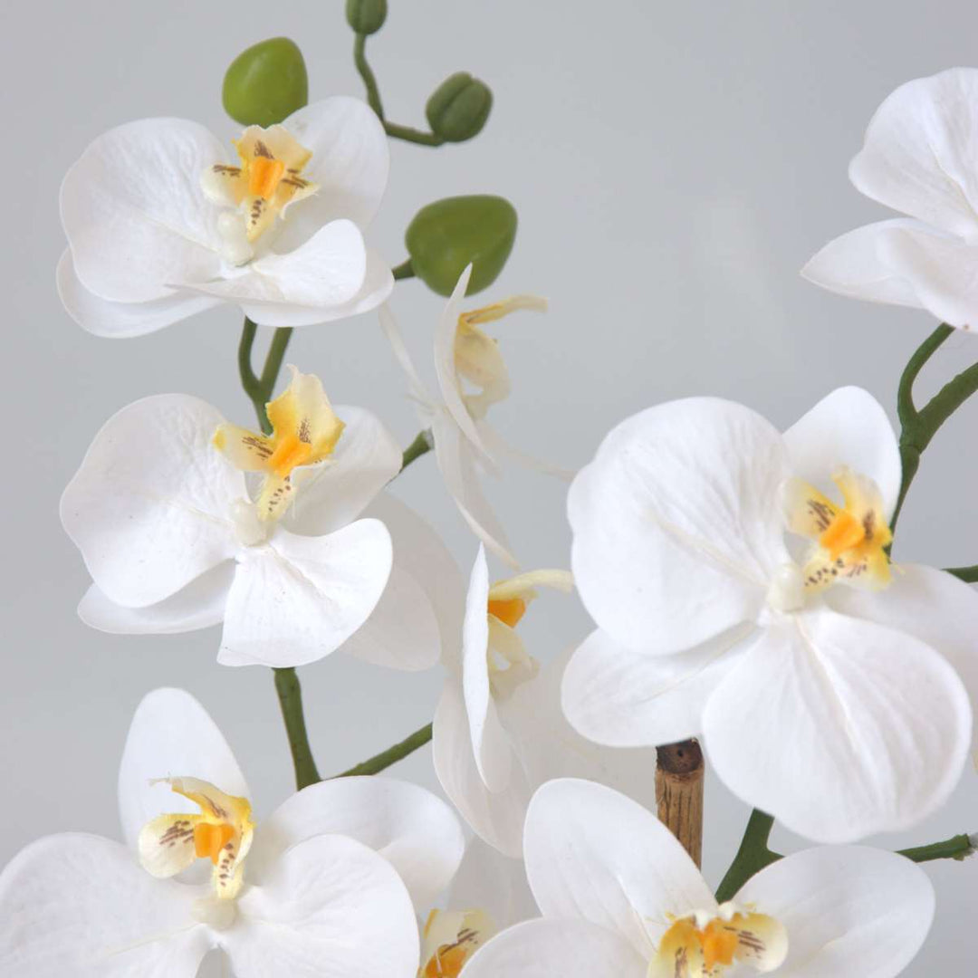 Kunstplant phalaenopsis orchidee