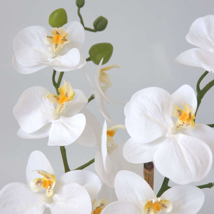 Kunstplant phalaenopsis orchidee