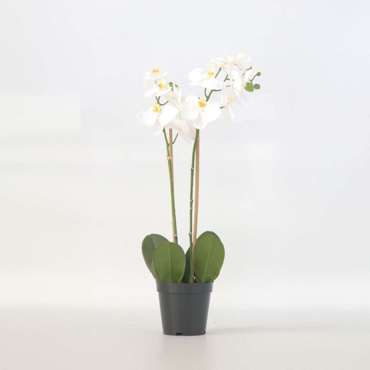 Kunstplant phalaenopsis orchidee