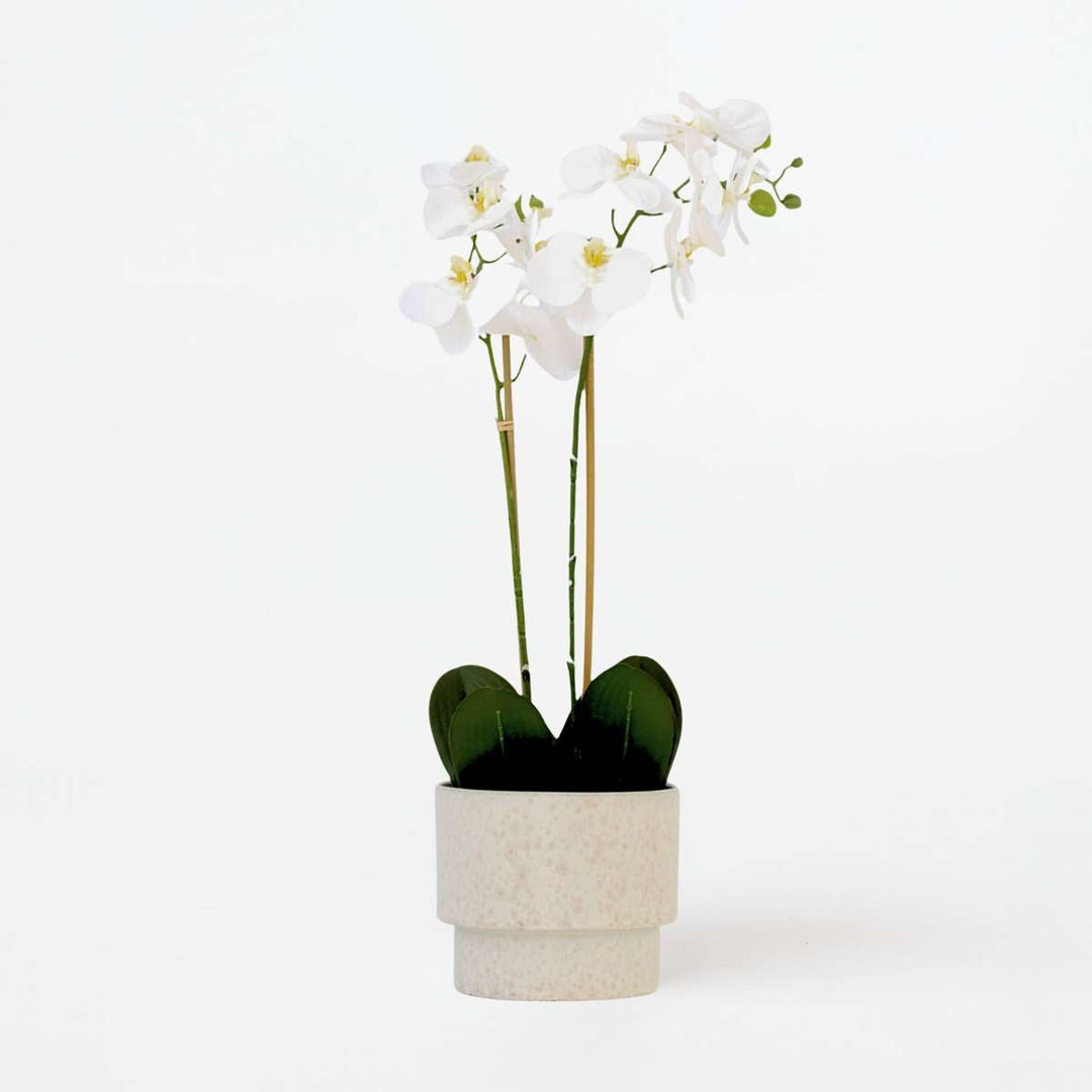 Kunstplant phalaenopsis orchidee