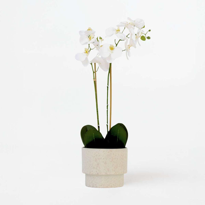 Kunstplant phalaenopsis orchidee