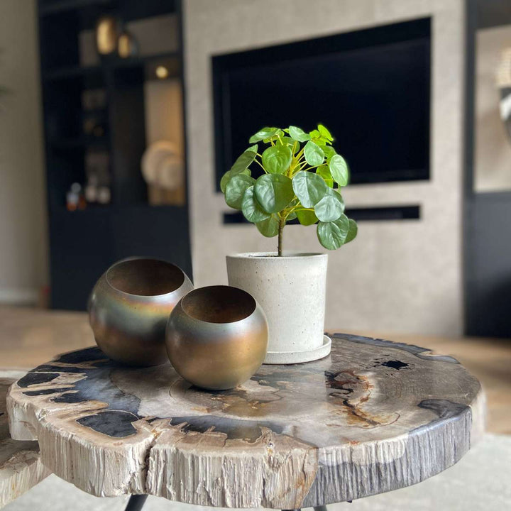 Kunstplant Pilea peperomioides