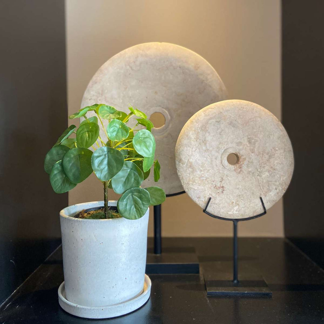 Kunstplant Pilea peperomioides