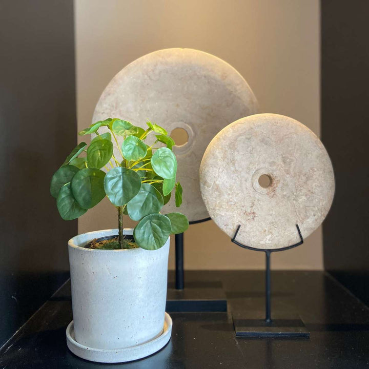 Kunstplant Pilea peperomioides