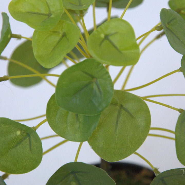 Kunstplant Pilea peperomioides