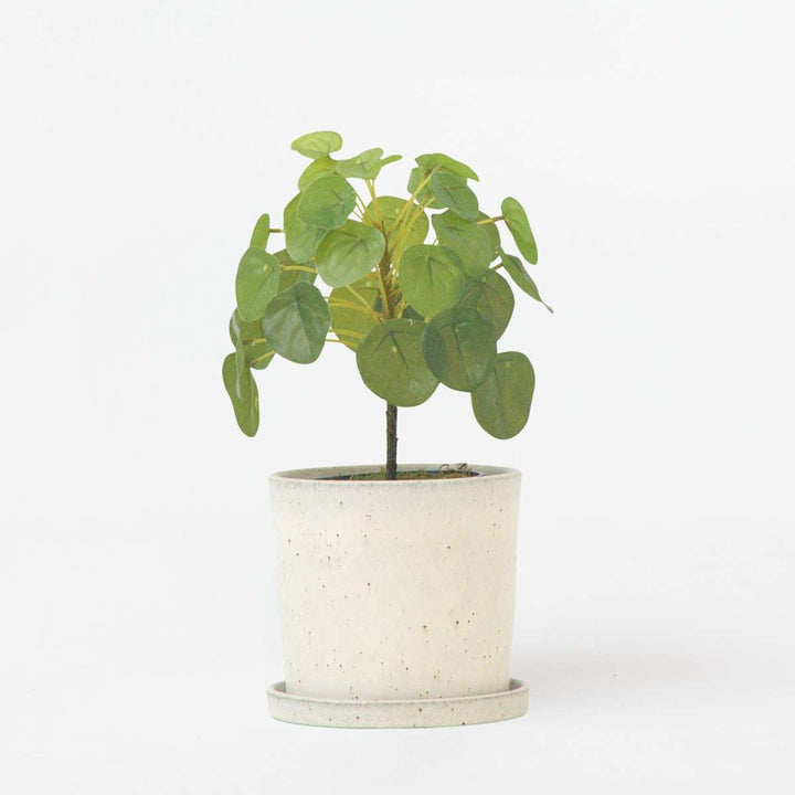 Kunstplant Pilea peperomioides