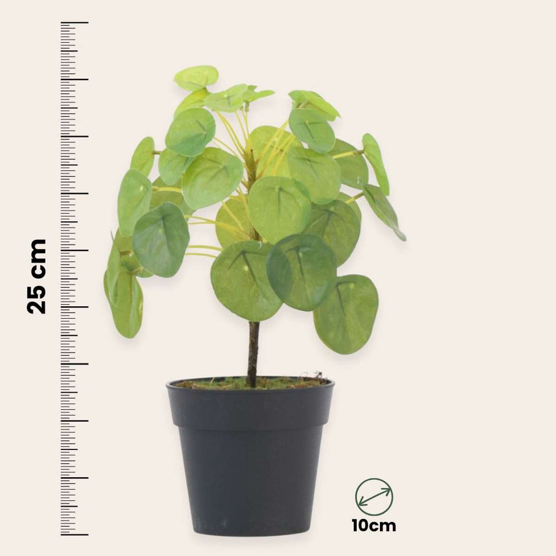 Kunstplant Pilea peperomioides