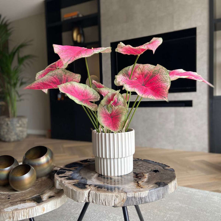 Kunstplant caladium