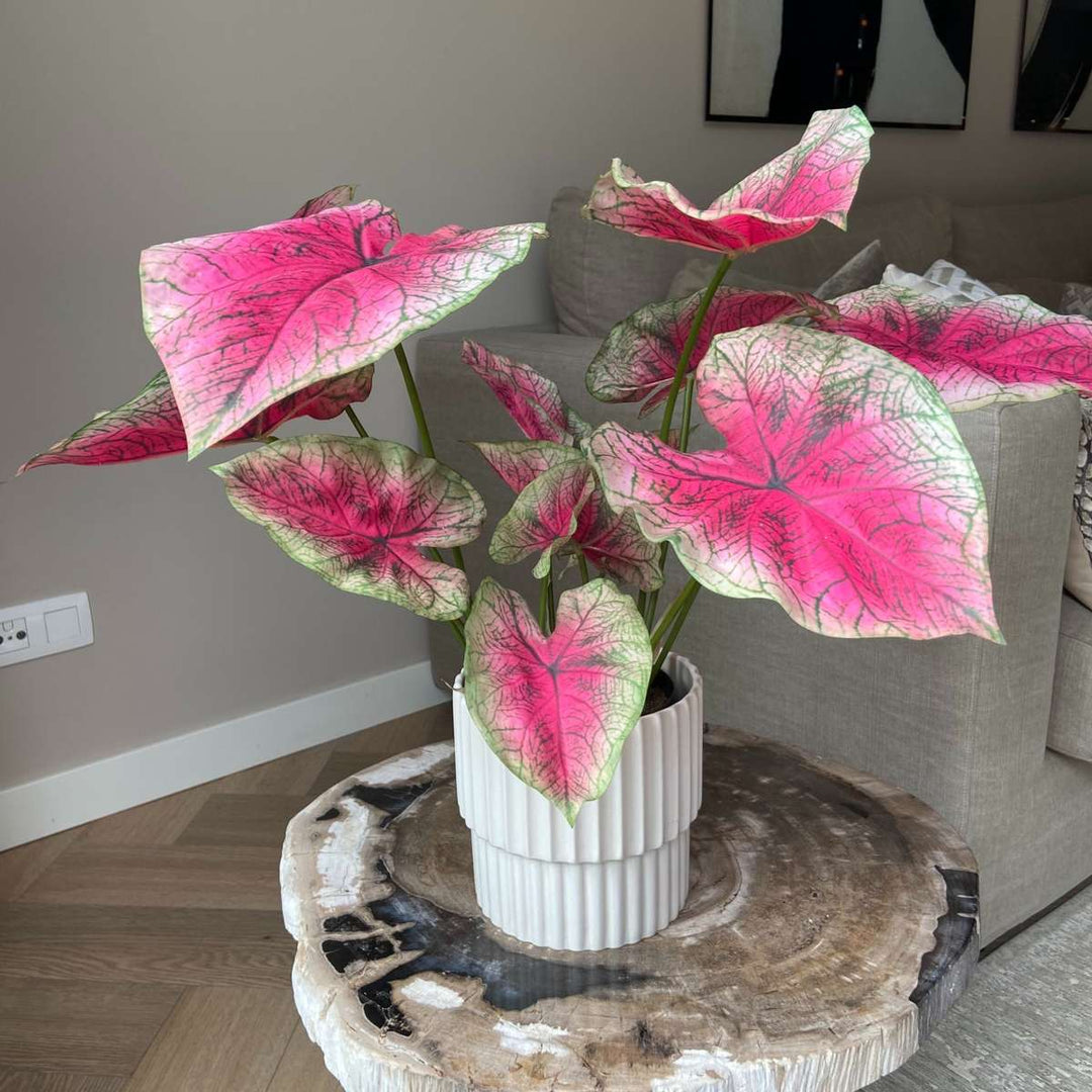 Kunstplant caladium