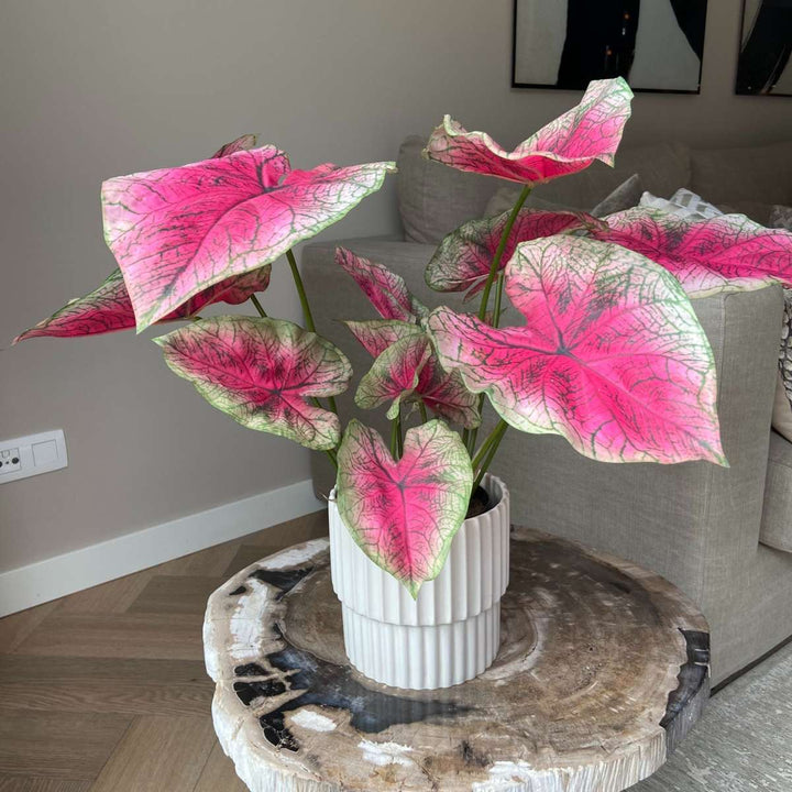Kunstplant caladium