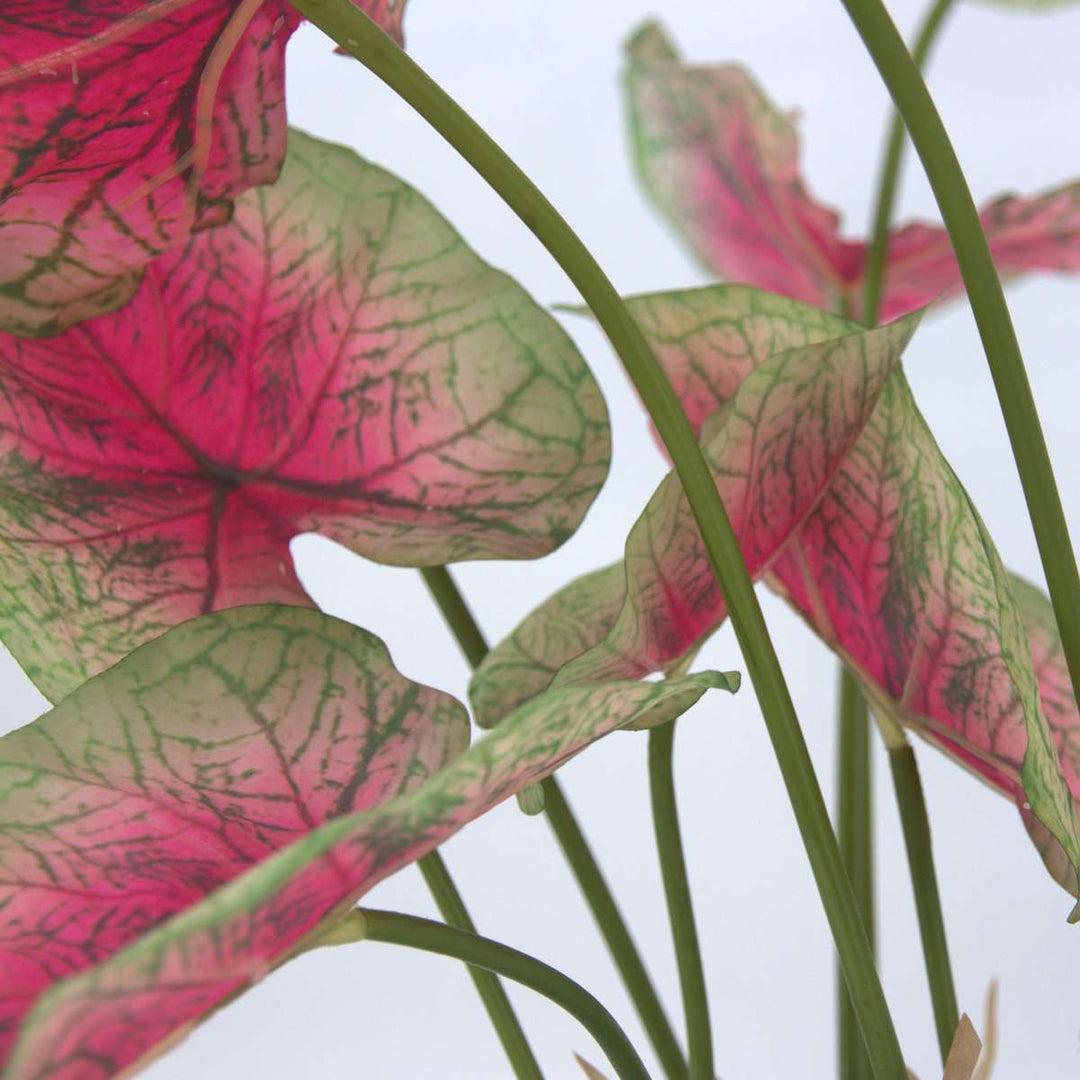 Kunstplant caladium