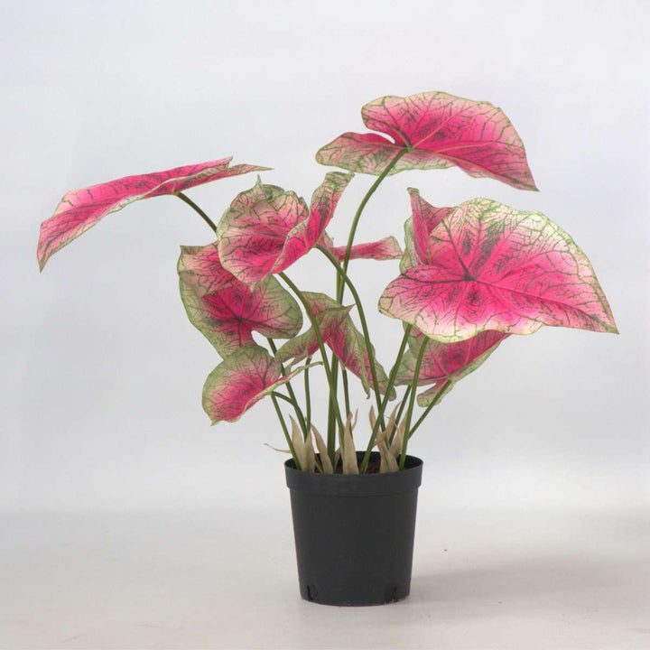 Kunstplant caladium