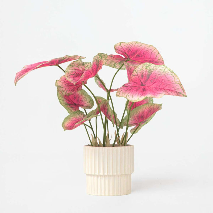Kunstplant caladium