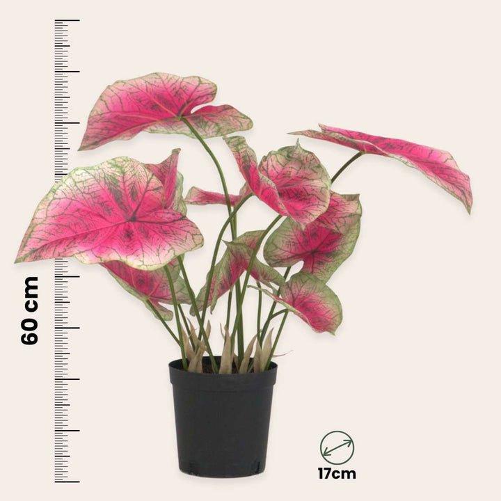 Kunstplant caladium