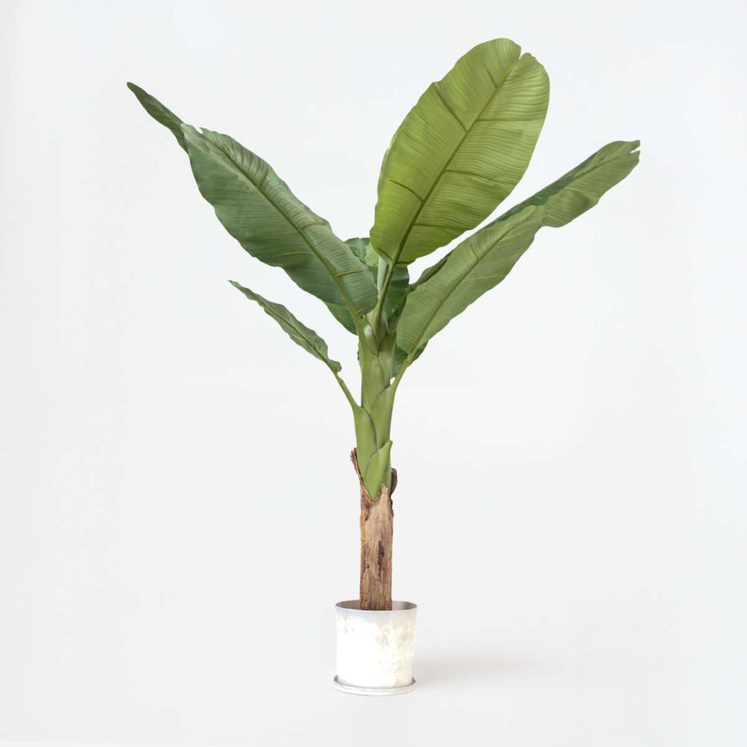 Kunstplant musa bananenplant XXL