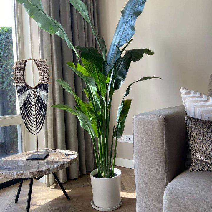 Kunstplant strelitzia XXL
