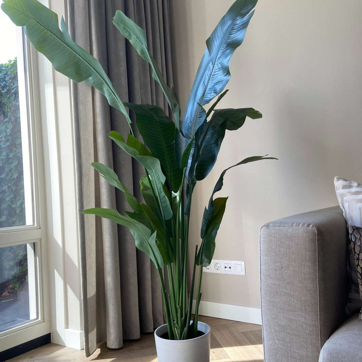 Kunstplant strelitzia XXL