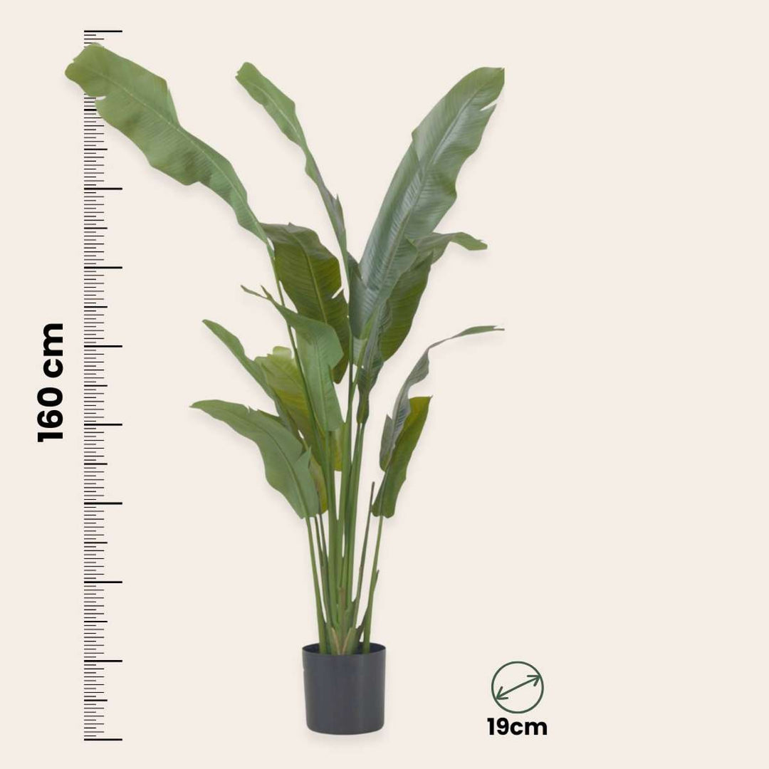 Kunstplant strelitzia XXL