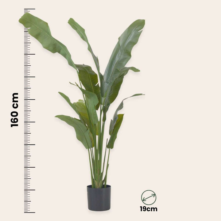Kunstplant strelitzia XXL