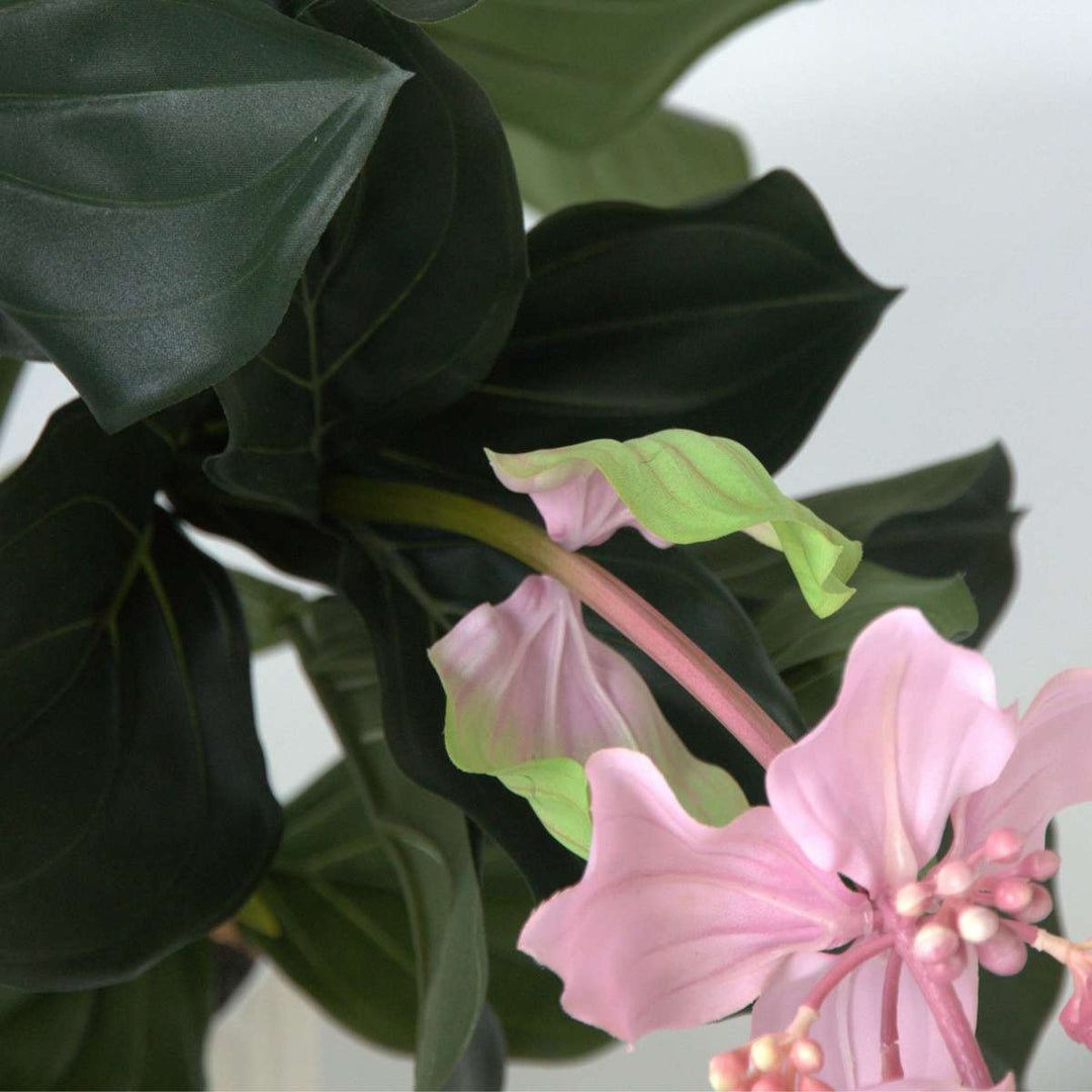 Kunstplant Medinilla magnifica