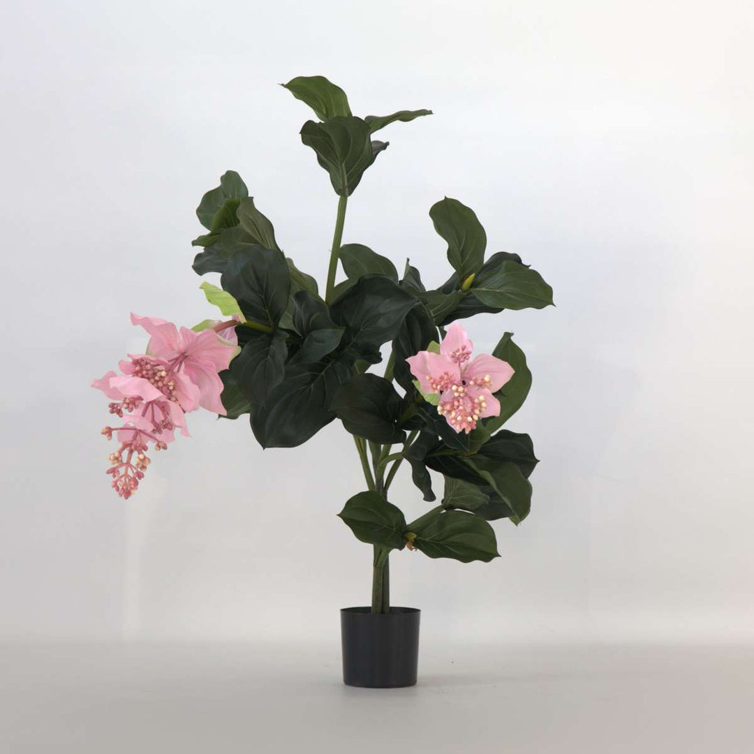 Kunstplant Medinilla magnifica